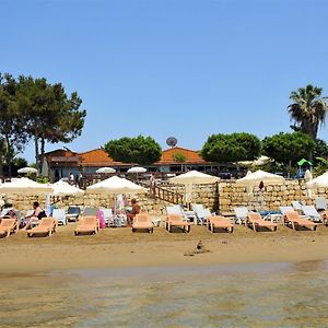 Clover Magic Nova Beach Hotel